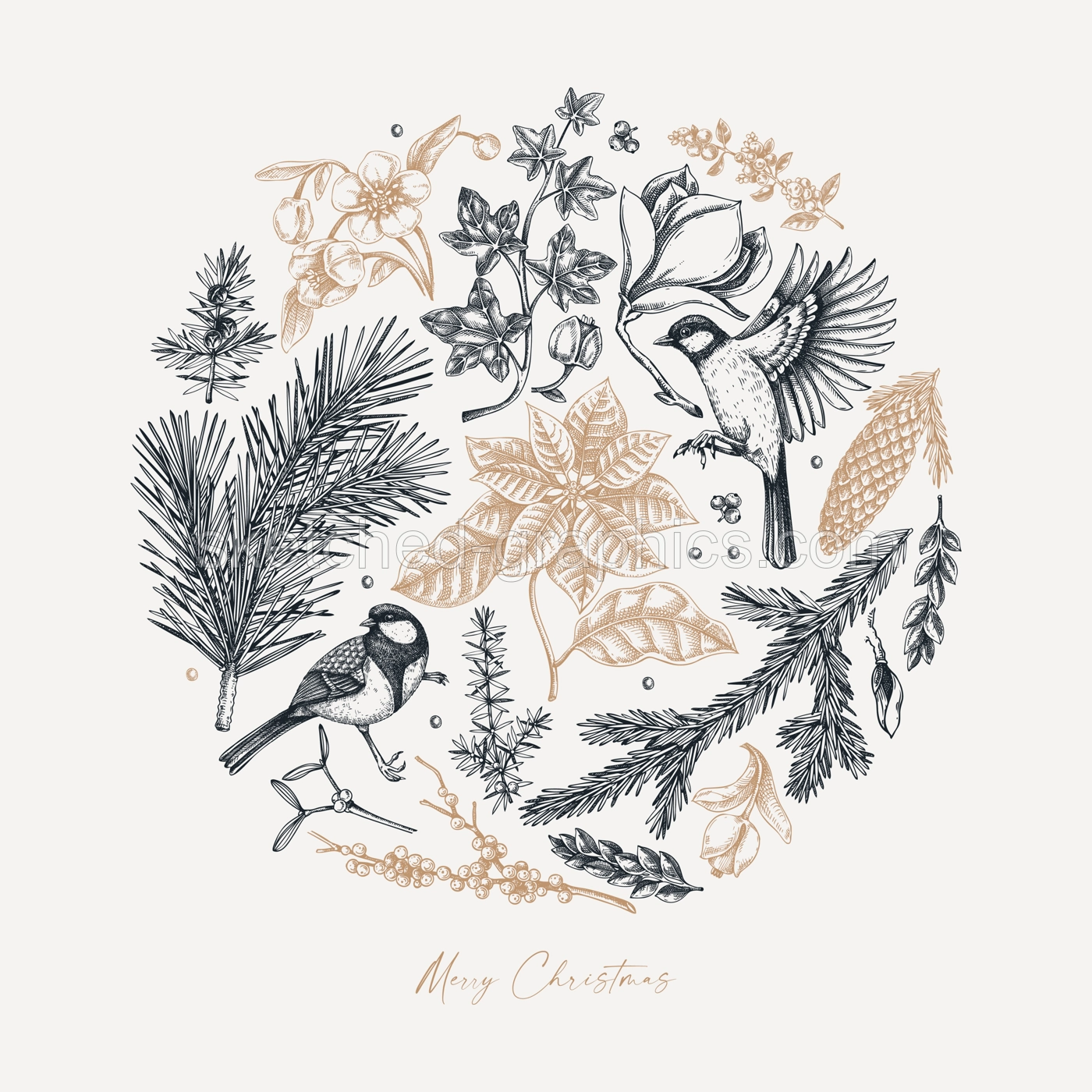 Merry Christmas card template. Evergreen plants, flower, bird sketches. Winter vector design. Hand-drawn botanical illustrations. NOT AI generated image Illustration